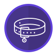 Purple Dog Collar Icon