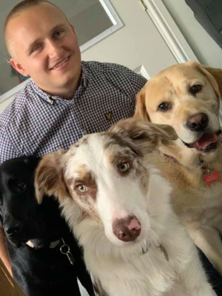 Three Dogs With Our Company Director